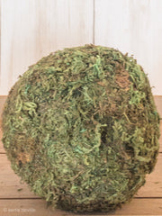 Green Moss Ball (One) - Shop House Market
