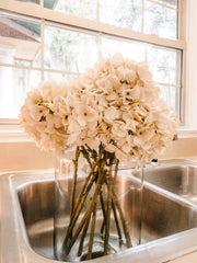 Hydrangea Stem - Shop House Market
