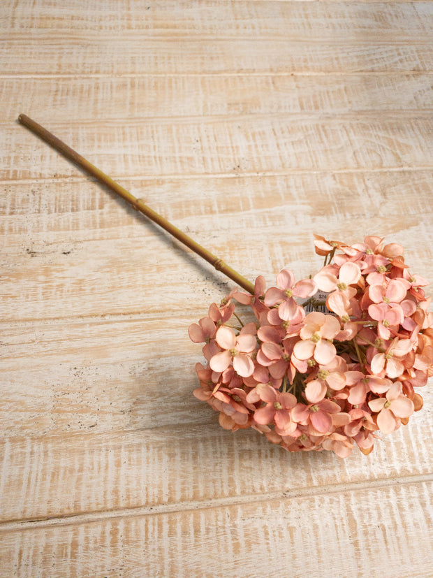 HYDRANGEA PICK SALMON PINK