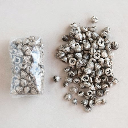 Round Dried Natural Eucalyptus Pods in Bag Silver